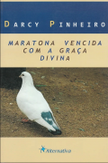 Maratona Vencida com a Graça Divina